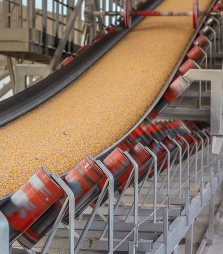 SANWEI Bulk Grain Conveyer 02